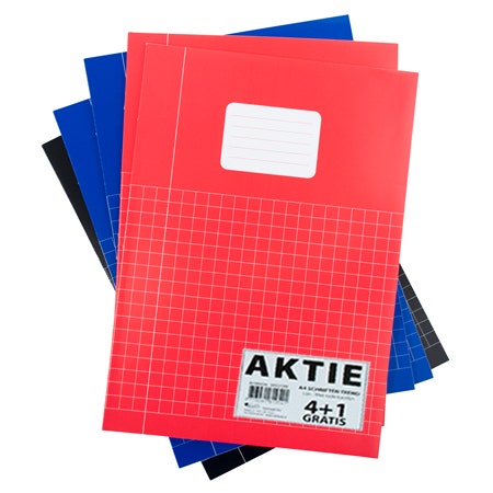 Pak à 5 Schriften A4 ruit 10mm basiskleuren