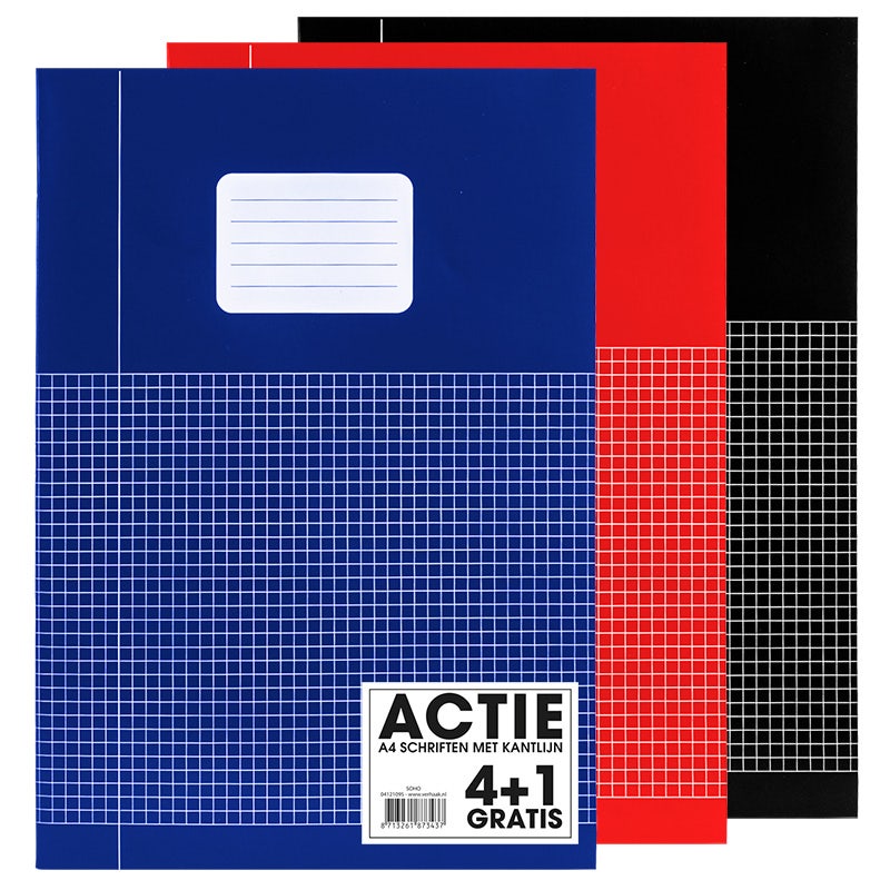 Pak à 5 Schriften A4 ruit 5mm basiskleuren