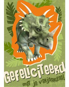 Set van 20 miniposters (A4 kaarten) dino's verjaardagskaarten