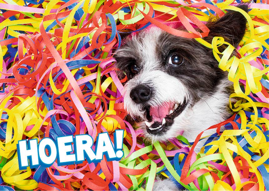 Set met 20 miniposters (A4 kaarten) verjaardagskaarten dieren