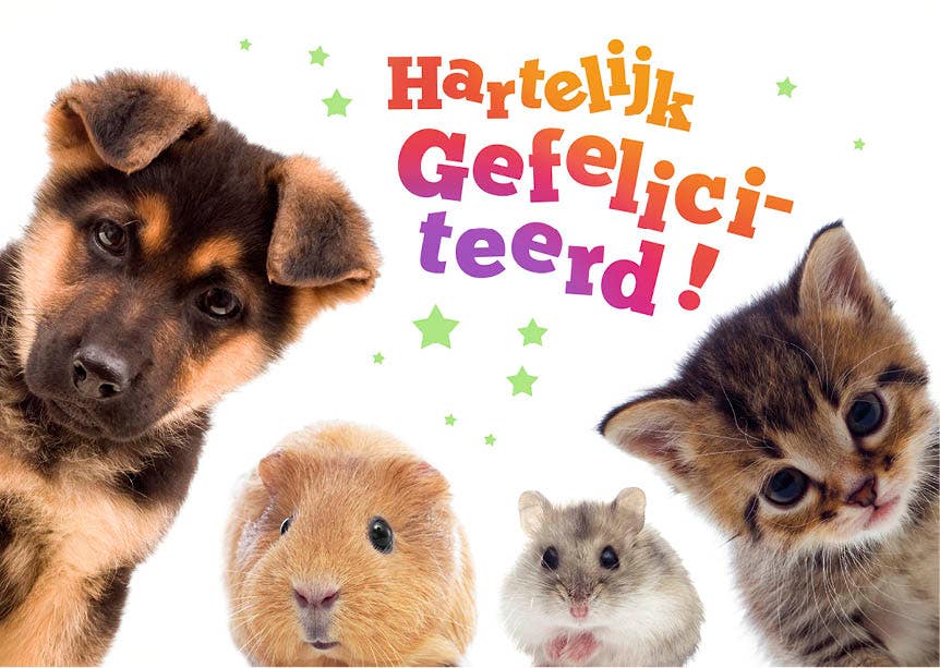 Set van 20 miniposters (A4 kaarten) verjaardagskaarten dierenvrienden