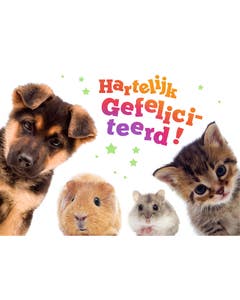 Set van 20 miniposters (A4 kaarten) verjaardagskaarten dierenvrienden