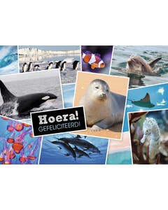 Set van 20 miniposters (A4 kaarten) verjaardagskaarten wilde dieren