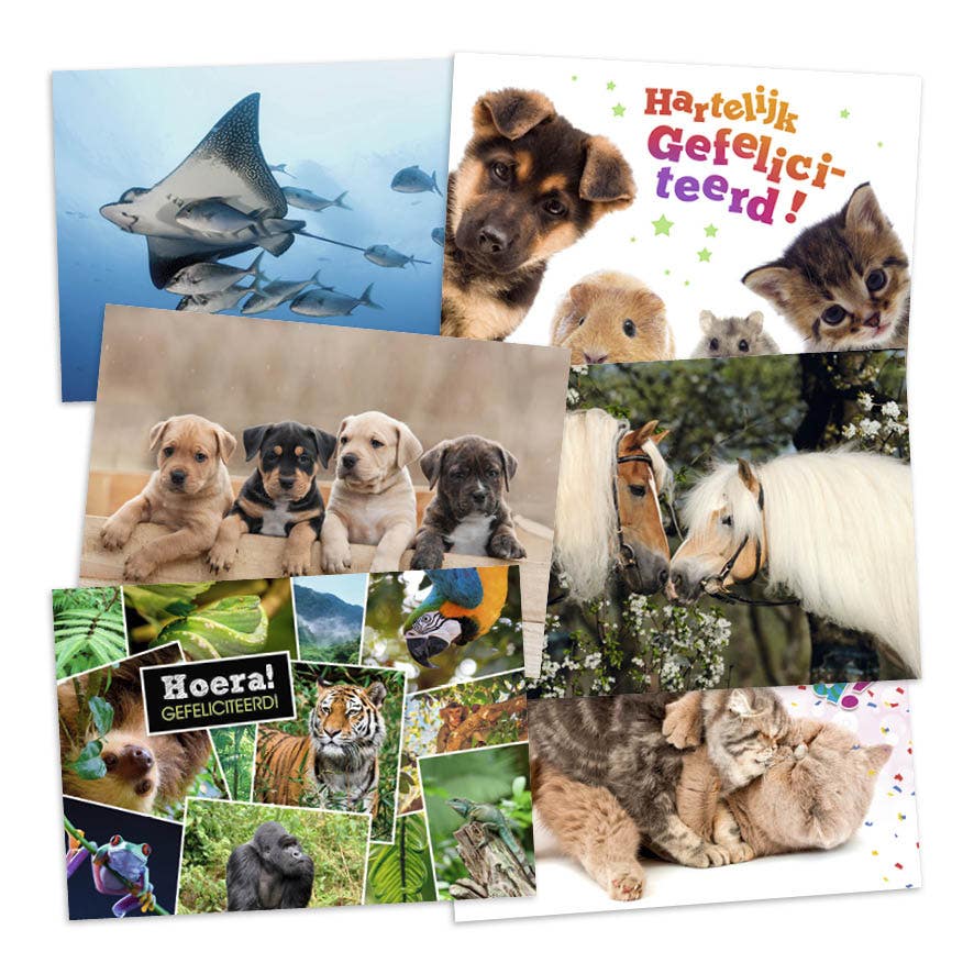 Set met 18 miniposters (A4 kaarten) dieren