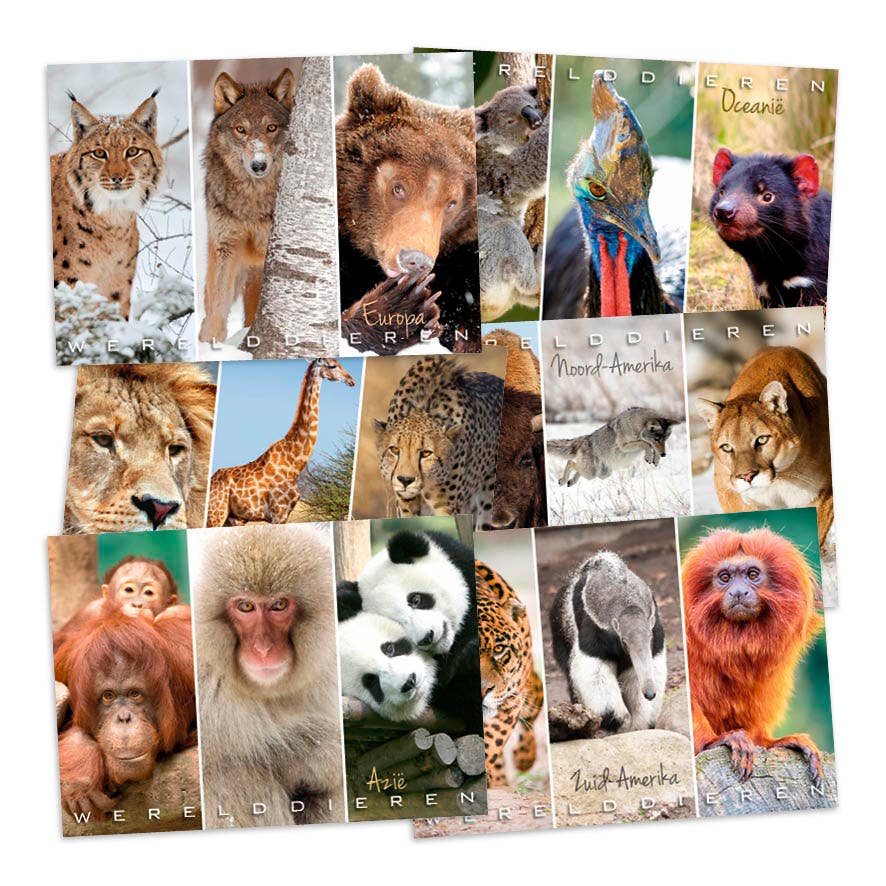 Set met 18 miniposters (A4 kaarten) wilde dieren
