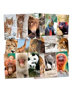 Set met 18 miniposters (A4 kaarten) wilde dieren