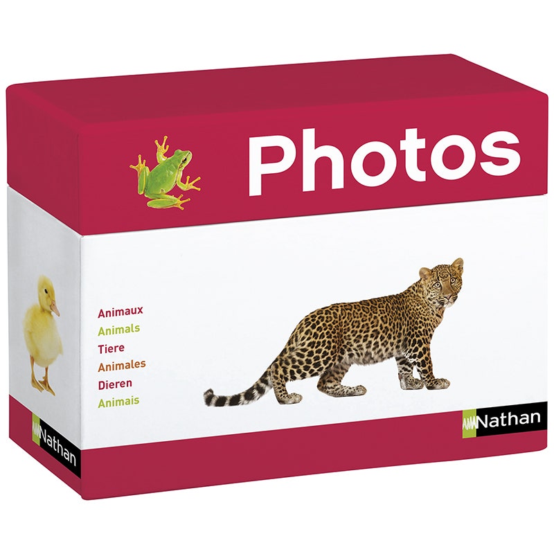 Fotokaarten - Dieren (box met 70 kaarten)