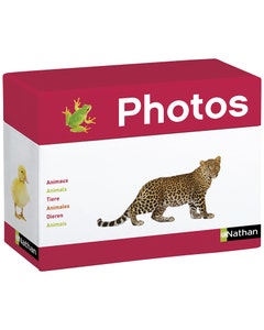 Fotokaarten - Dieren (box met 70 kaarten)