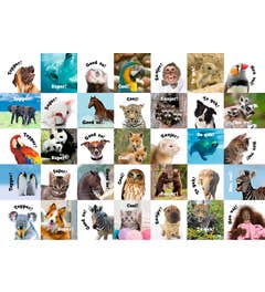 Beloningsstickers dieren met positieve teksten