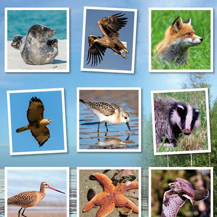 Beloningsstickers Wild in de buurt