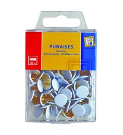 Punaises wit 100 stuks