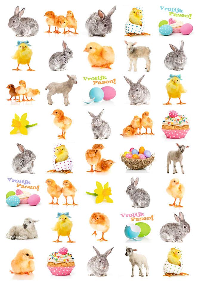 Beloningsstickers Paasdieren festival