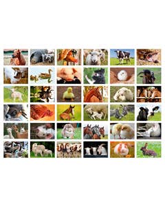 Beloningsstickers boerderijdieren