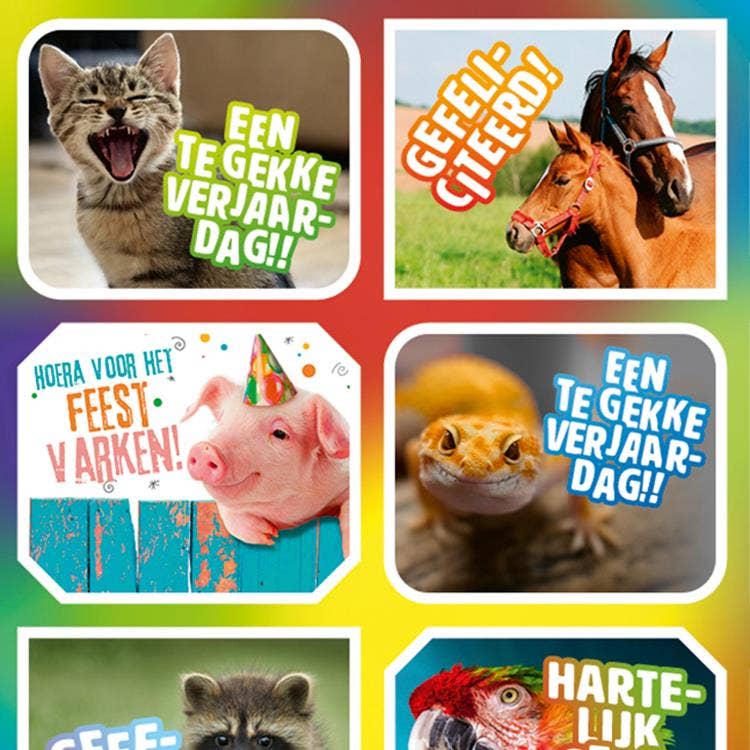 Felicitatiedieren