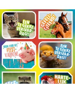 Felicitatiedieren