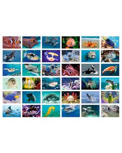 Beloningsstickers onderwaterwereld