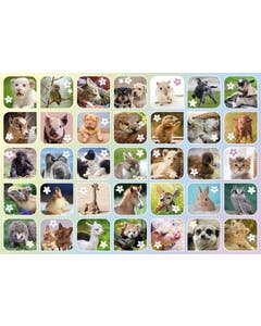 Beloningsstickers babydieren
