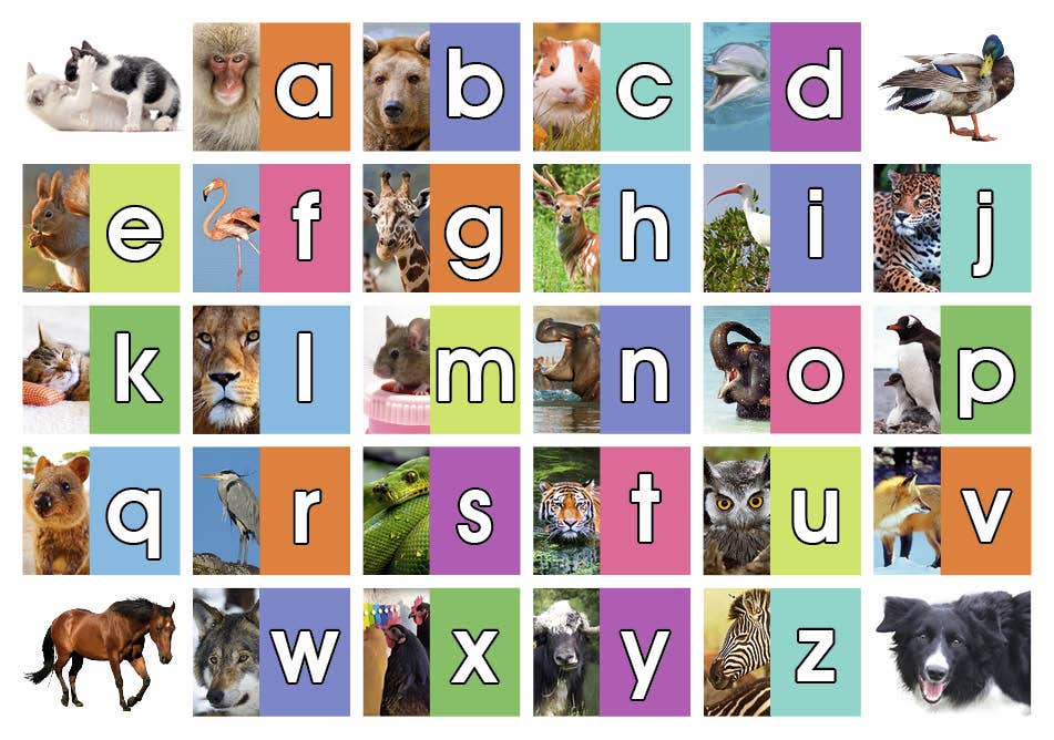 Beloningssticker Het dieren ABC