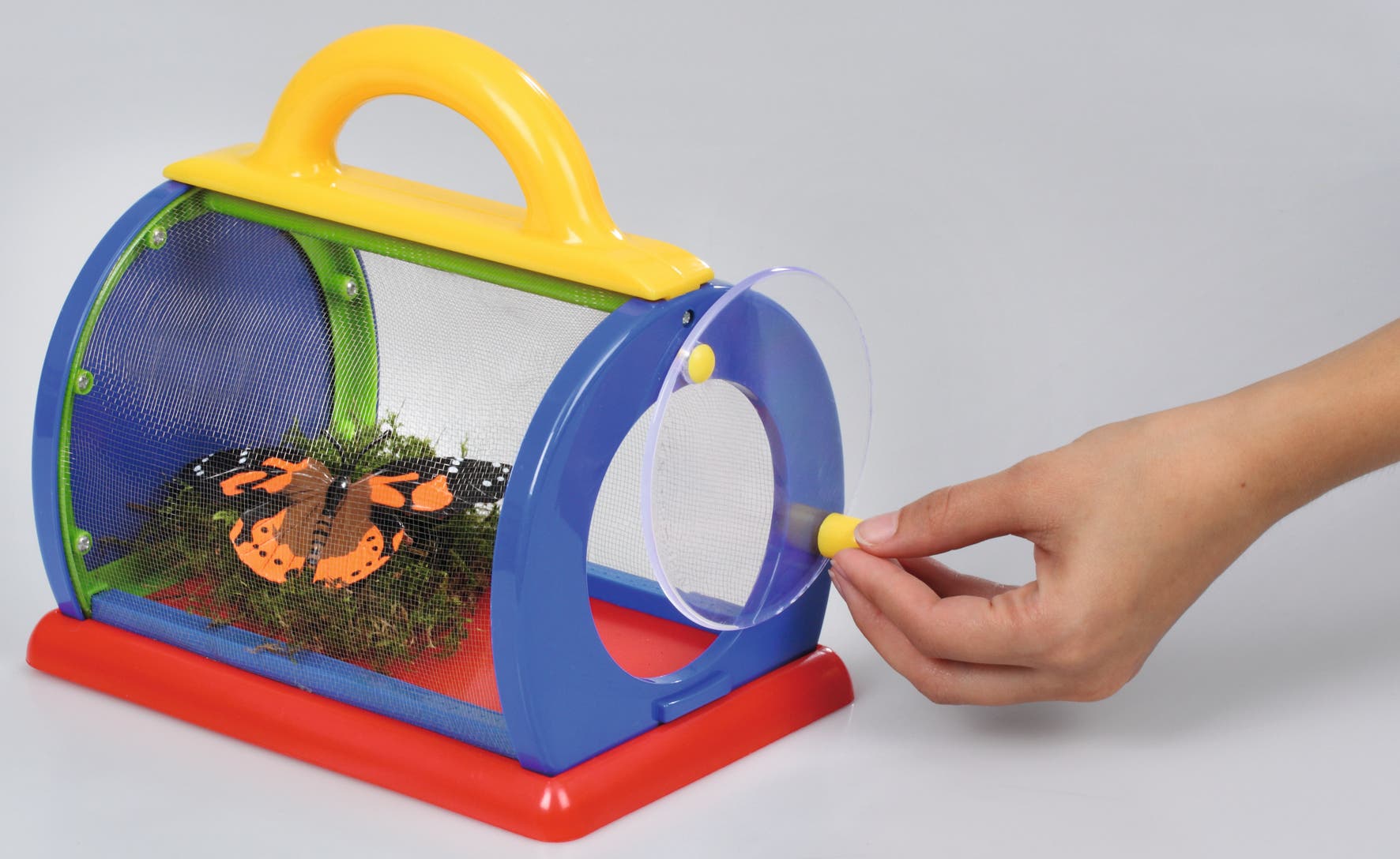 Insecten Observeerkast