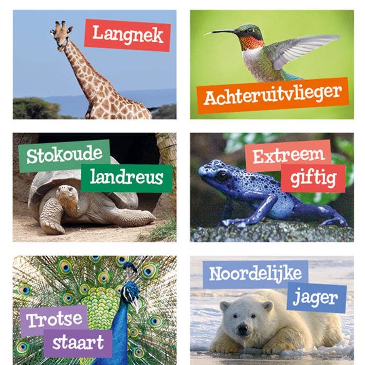 Specialisten Van Het Dierenrijk Beloningsstickers