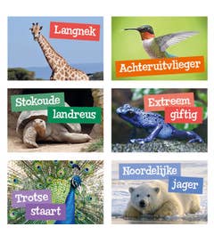 Specialisten Van Het Dierenrijk Beloningsstickers