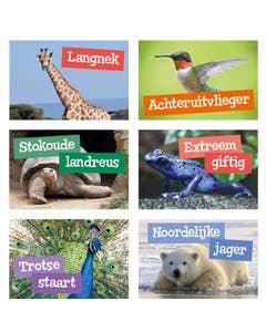 Specialisten Van Het Dierenrijk Beloningsstickers
