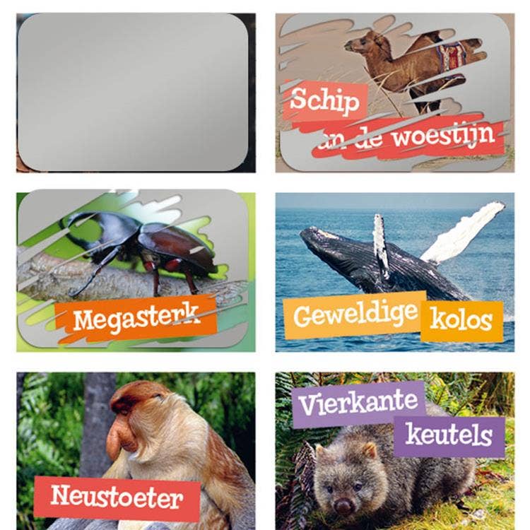 Krasstickers Specialisten Van Het Dierenrijk