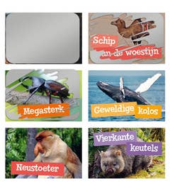 Krasstickers Specialisten Van Het Dierenrijk