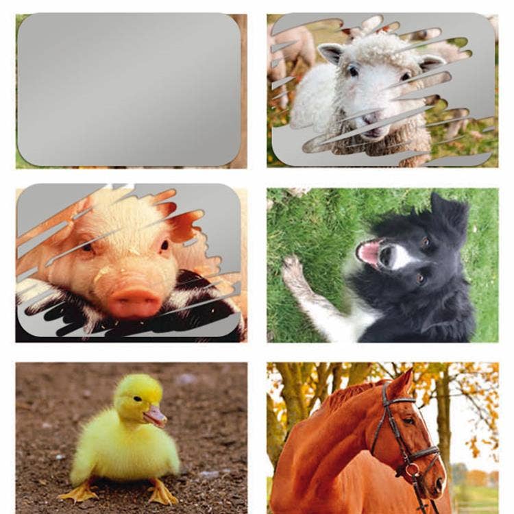 Krasstickers Boerderijdieren