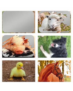 Krasstickers Boerderijdieren
