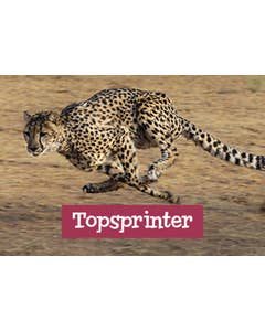 Beloningskaarten Specialisten Van Het Dierenrijk