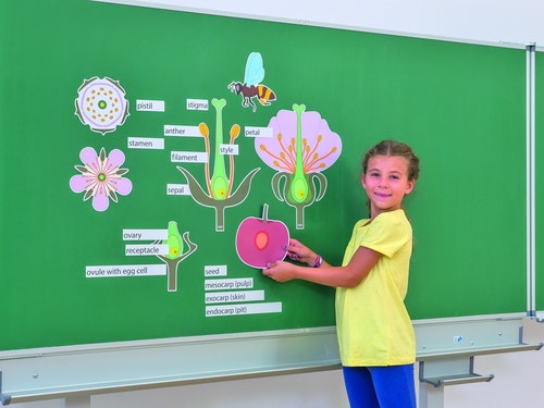 Magnetische kaarten: kersenbloesem