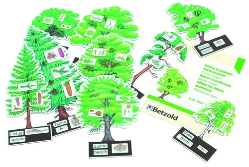 Het benoemen van boomsoorten