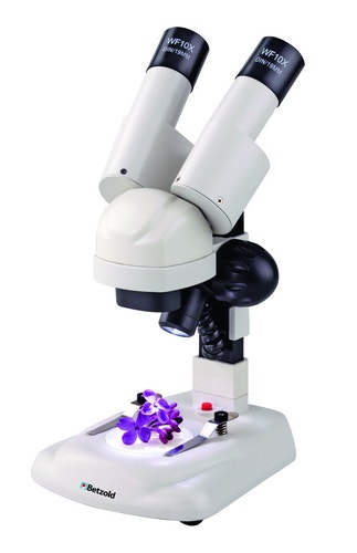 Stereo microscoop (vergroting: 20 x)