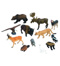 Noord-Amerikaanse dieren (set van 12 ex.)