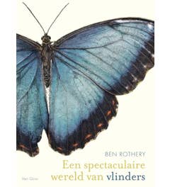 Een spectaculaire wereld van vlinders