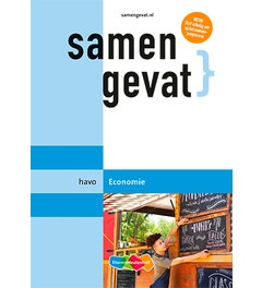 Samengevat havo Economie