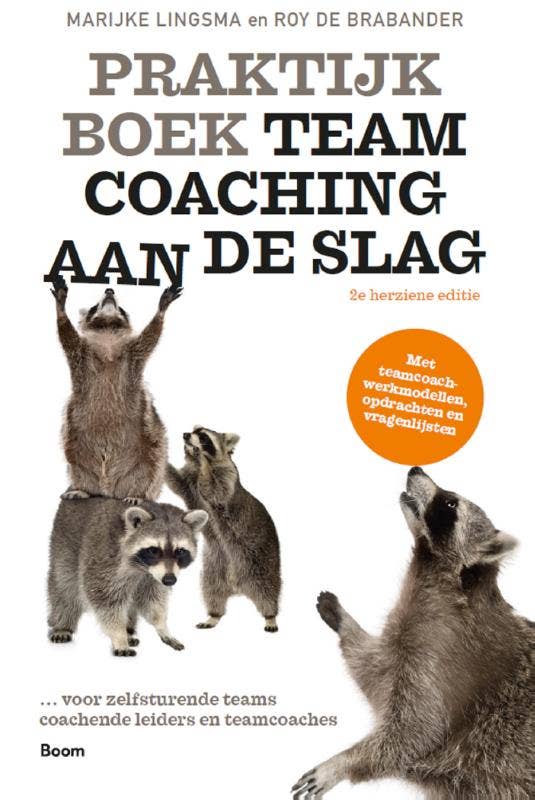 Praktijkboek Teamcoaching; aan de slag