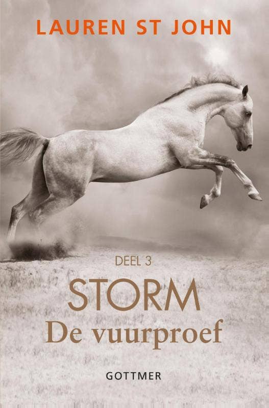 Storm - De vuurproef 3