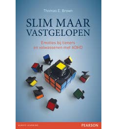 Slim maar vastgelopen