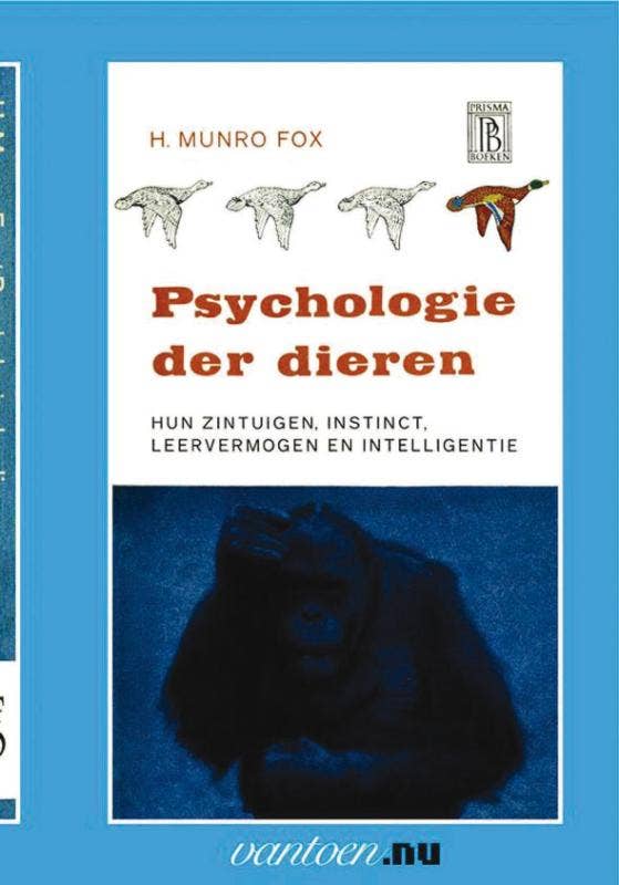 Vantoen.nu - Psychologie der dieren