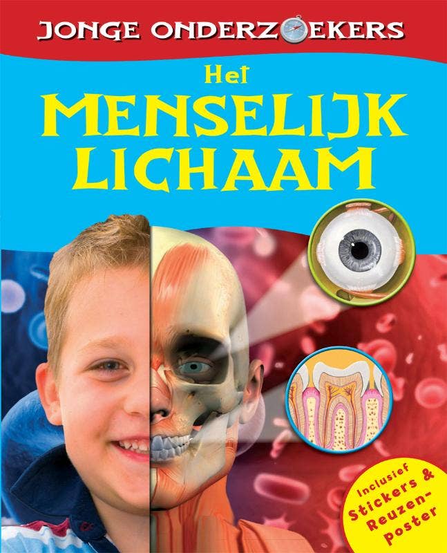 Jonge onderzoekers - Het menselijk lichaam