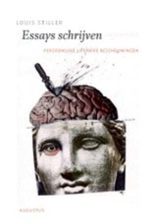 Essays schrijven