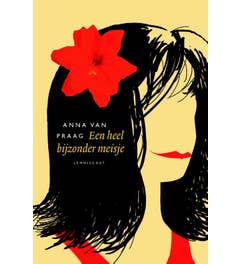 Een heel bijzonder meisje