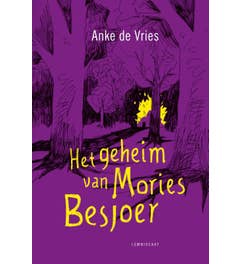 Het geheim van Mories Besjoer