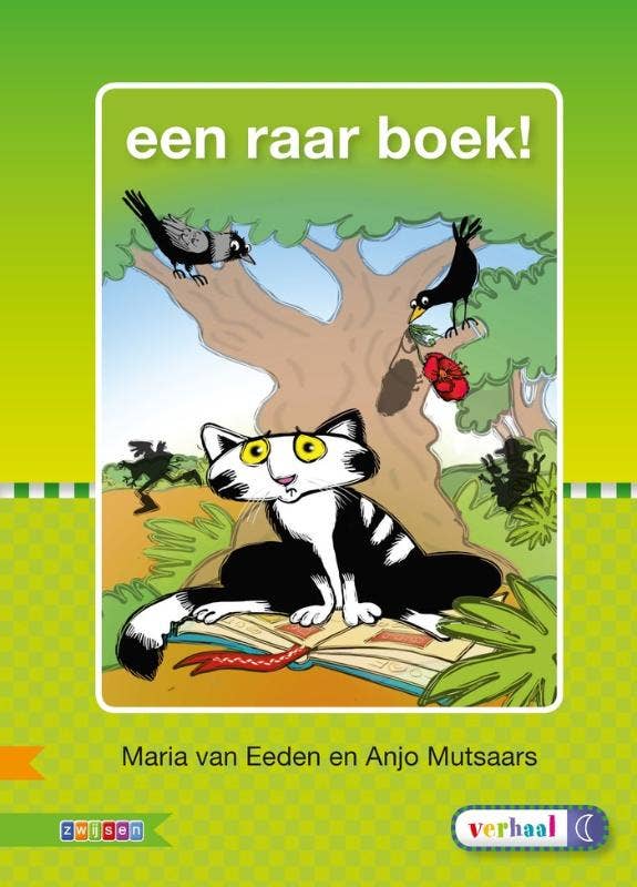 Veilig leren lezen - Een raar boek! AVI M3