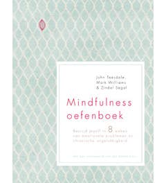 Mindfulness oefenboek