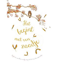 Het begint met een zaadje