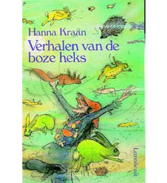 Verhalen van de boze heks