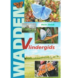 Wadden Vlindergids